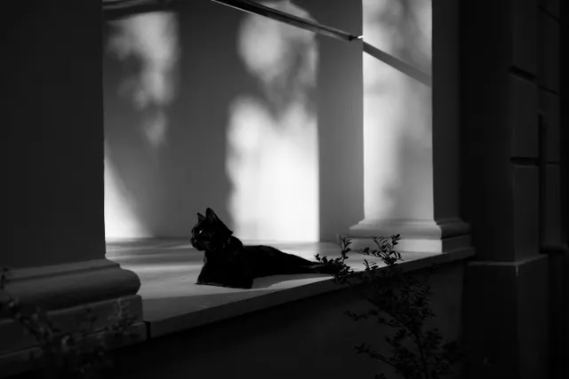 Fotografía · Artística